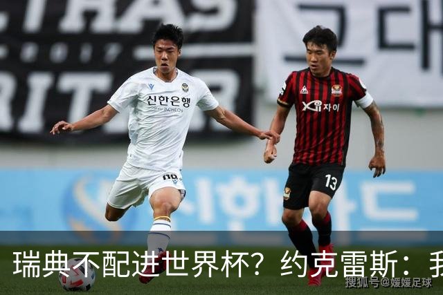 瑞典不配进世界杯？约克雷斯：我们凭实力进的，首战就5-1赢了